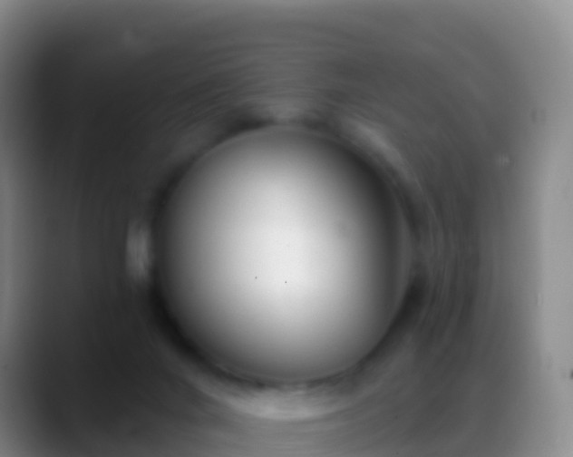X0000088900024200706151856