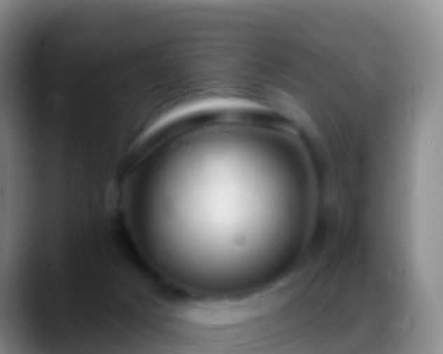 X0000088900025200706151856