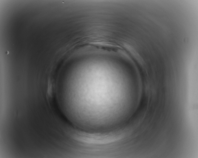 X0000088900026200706151856