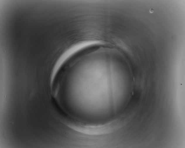 X0000088900027200706151856
