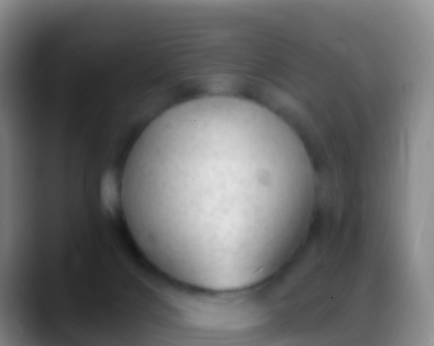 X0000088900028200706151856