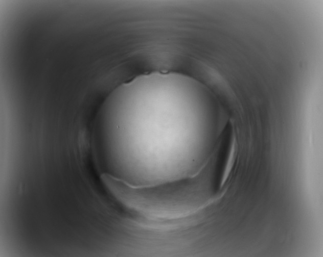 X0000088900029200706151856