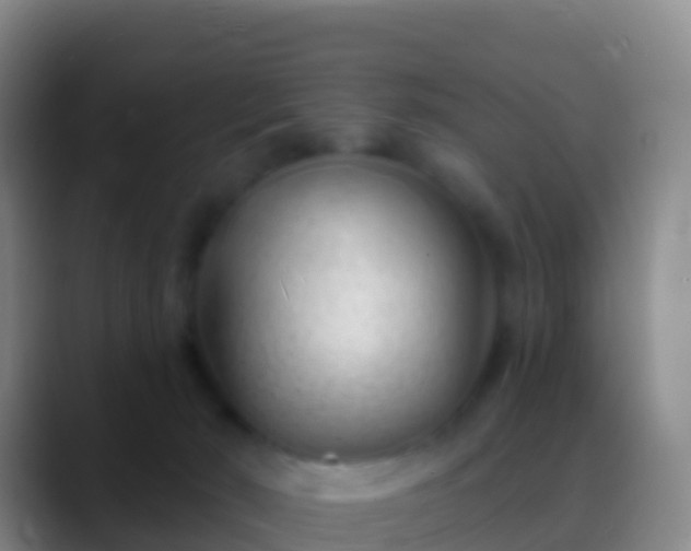 X0000088900030200706151856