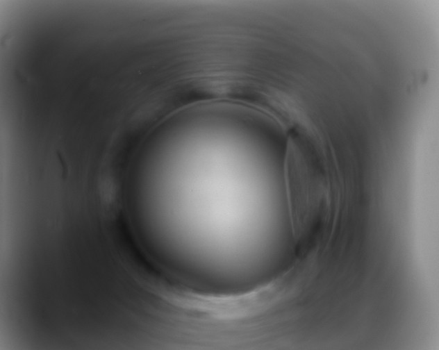 X0000088900031200706151856