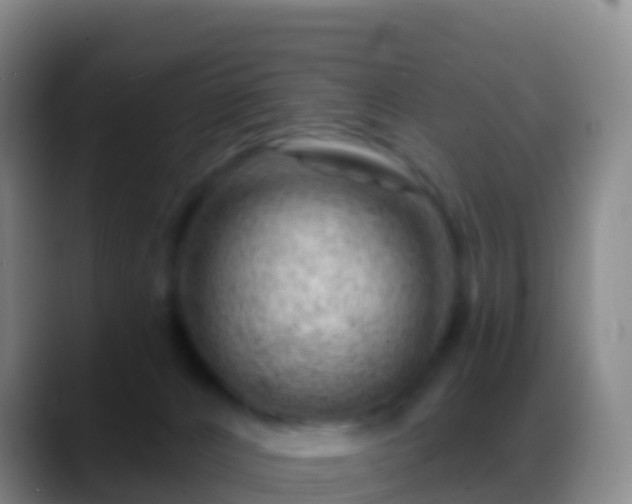X0000088900032200706151856