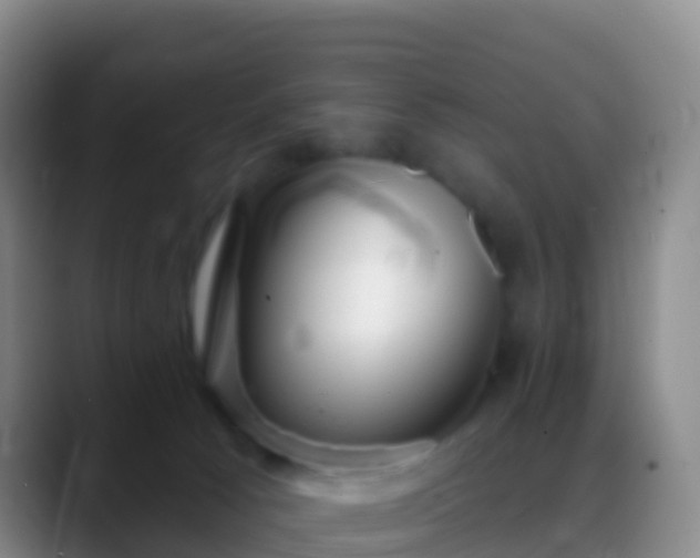 X0000088900033200706151856