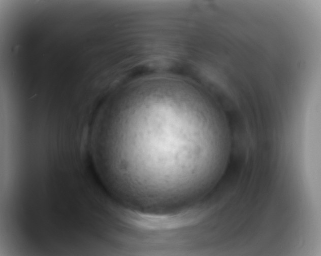 X0000088900034200706151856