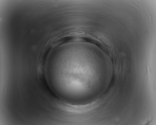 X0000088900035200706151856