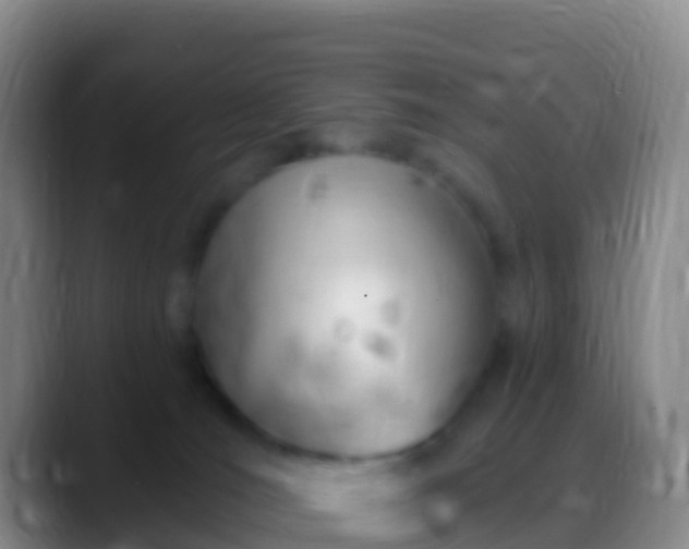 X0000088900036200706151856