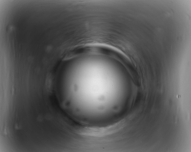 X0000088900037200706151856