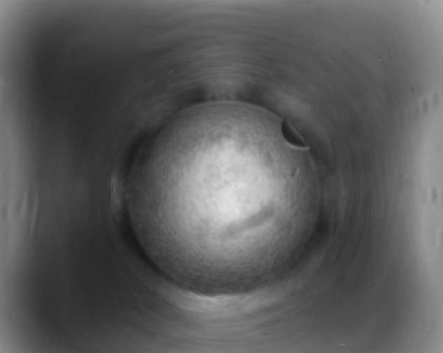 X0000088900038200706151856
