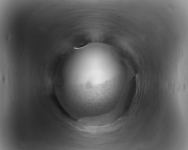 X0000088900039200706151856