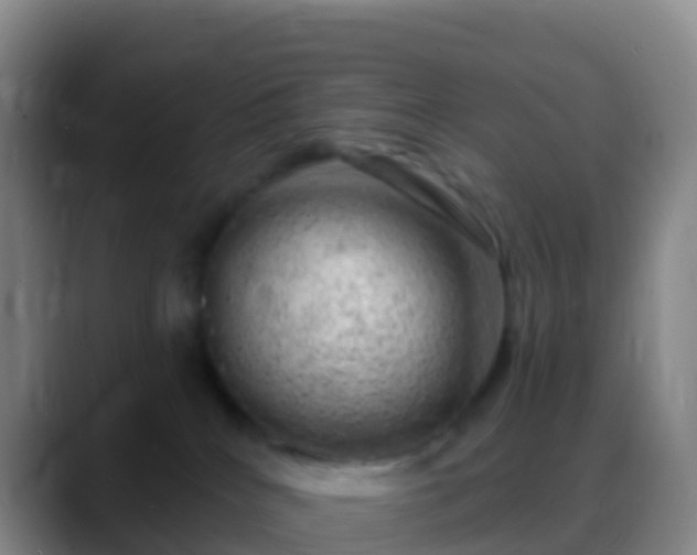 X0000088900040200706151856