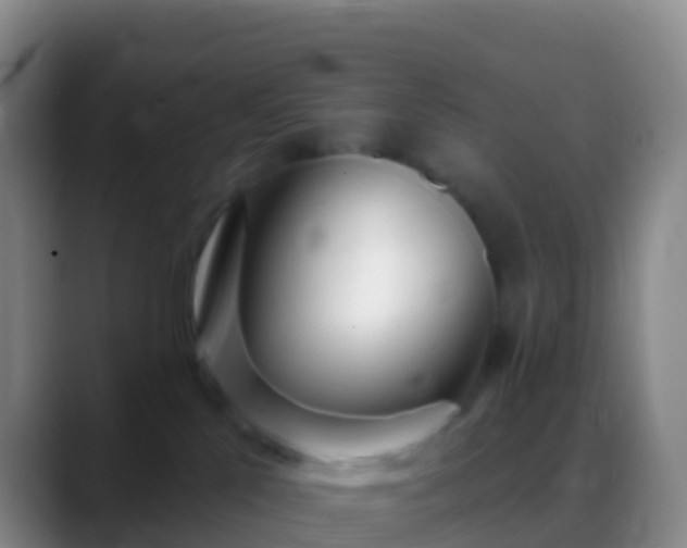 X0000088900041200706151856