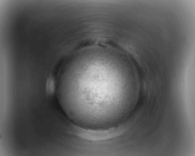 X0000088900042200706151856