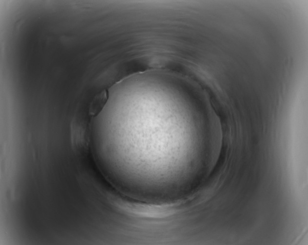 X0000088900044200706151856