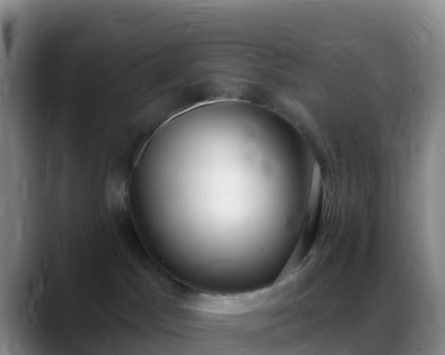X0000088900045200706151856