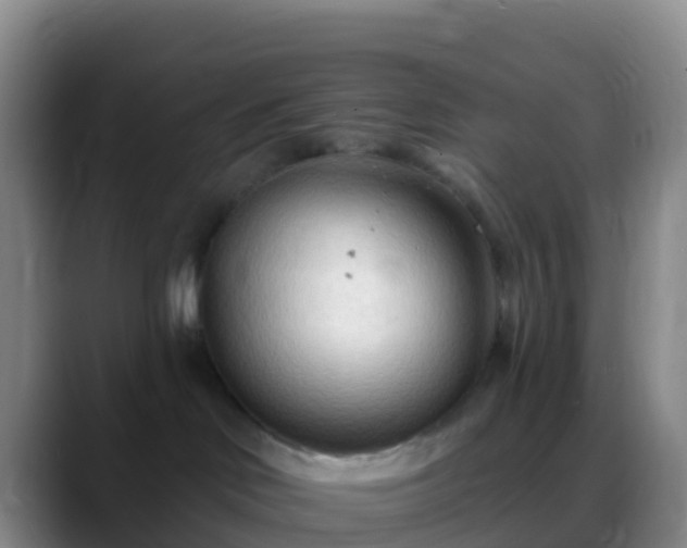 X0000088900046200706151856
