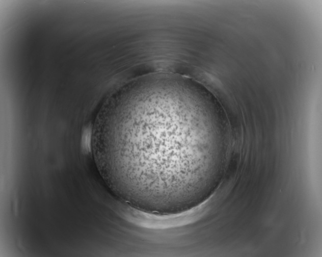 X0000088900047200706151856