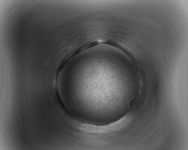 X0000088900048200706151856