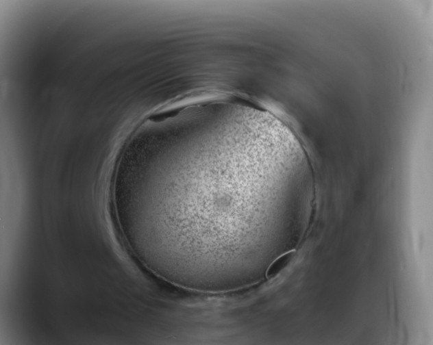 X0000088900049200706151855