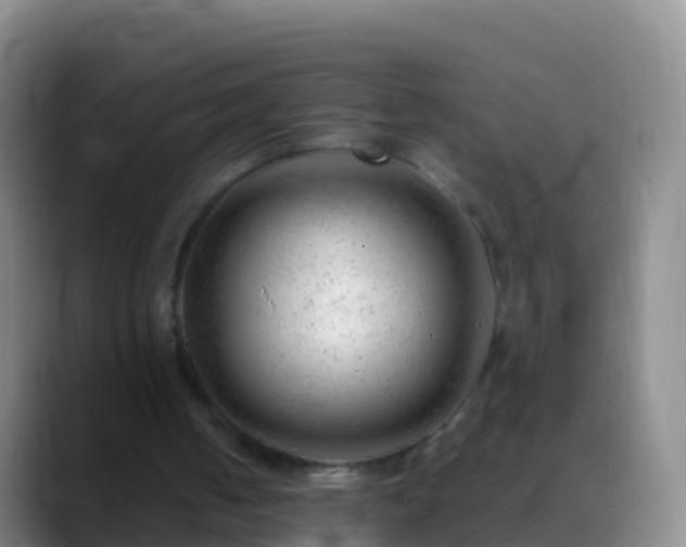 X0000088900050200706151855
