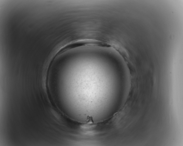 X0000088900051200706151855