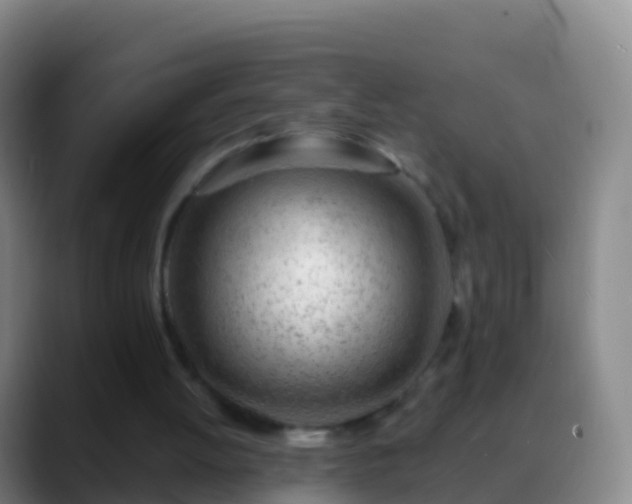 X0000088900052200706151855