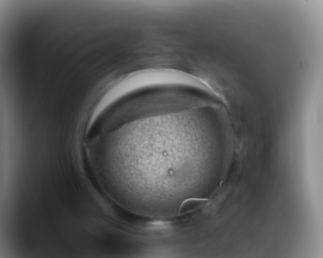 X0000088900053200706151855