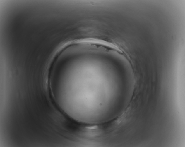 X0000088900054200706151855