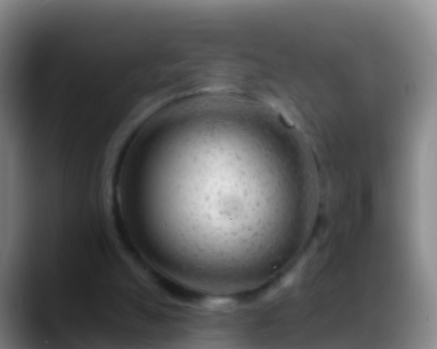 X0000088900055200706151855