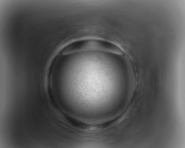 X0000088900056200706151855