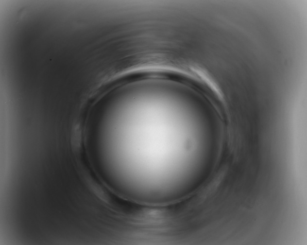 X0000088900057200706151855