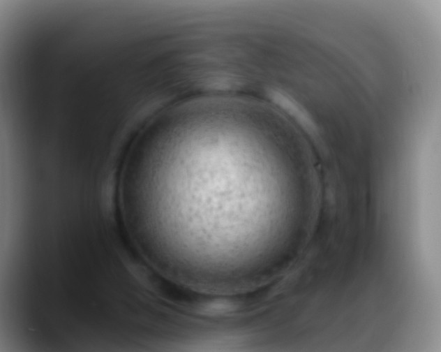 X0000088900058200706151855