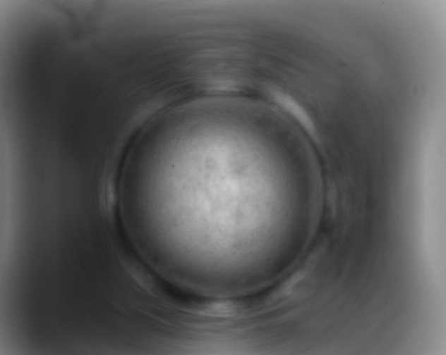 X0000088900059200706151855