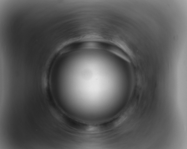 X0000088900060200706151855