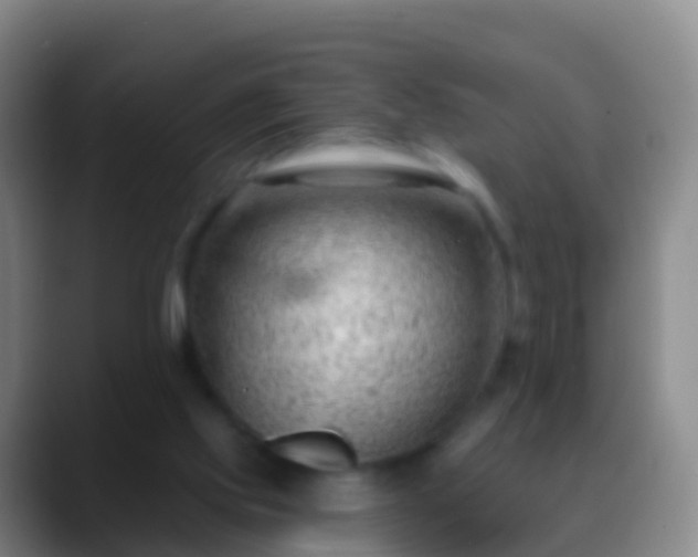X0000088900061200706151855