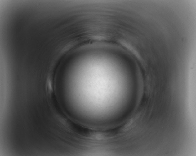 X0000088900062200706151855