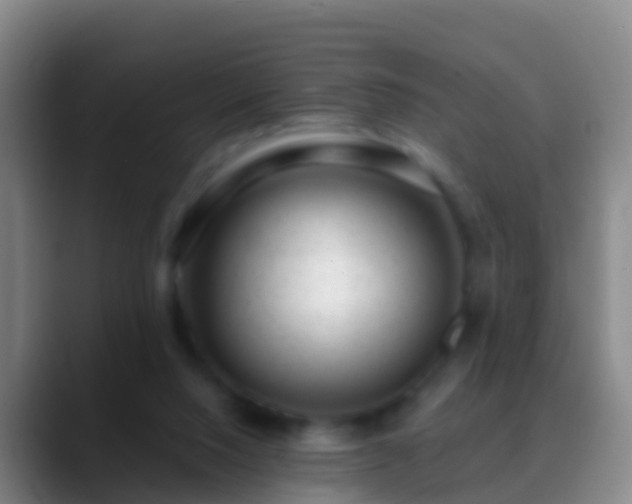 X0000088900064200706151855
