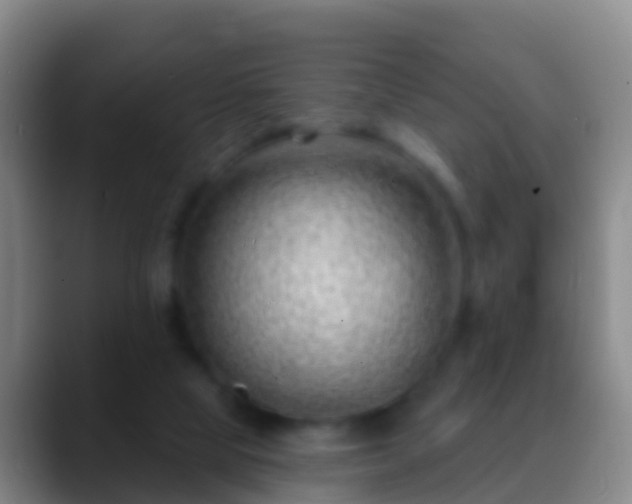 X0000088900065200706151855
