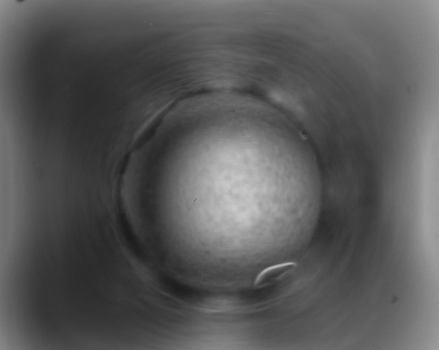 X0000088900066200706151855
