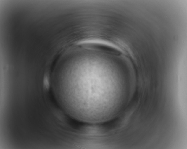 X0000088900069200706151855