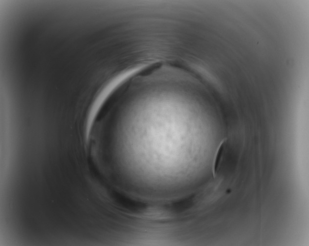 X0000088900070200706151855