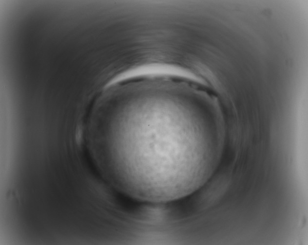 X0000088900071200706151855