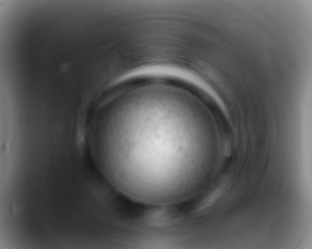 X0000088900072200706151855