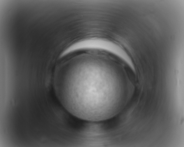 X0000088900073200706151855