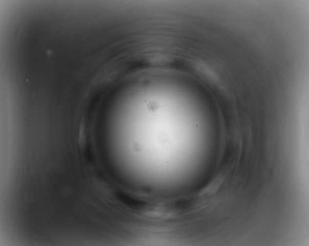 X0000088900074200706151855