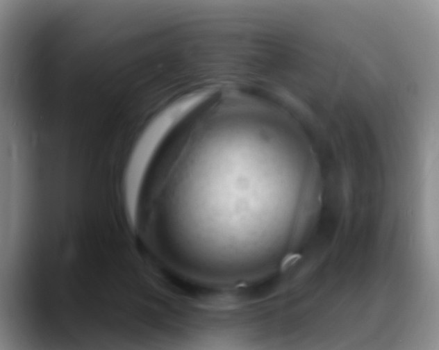 X0000088900075200706151855