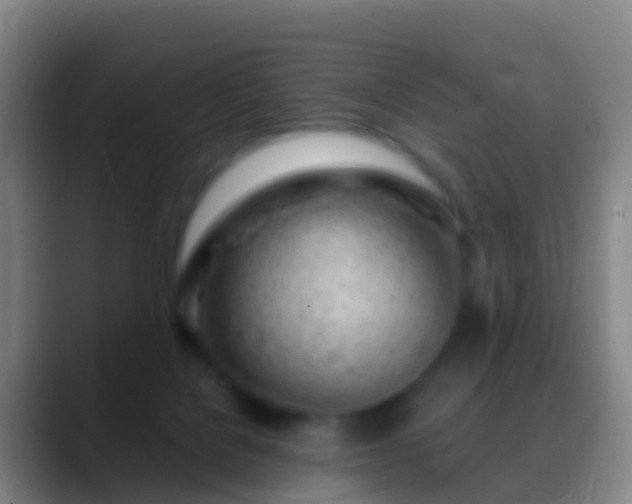 X0000088900076200706151855