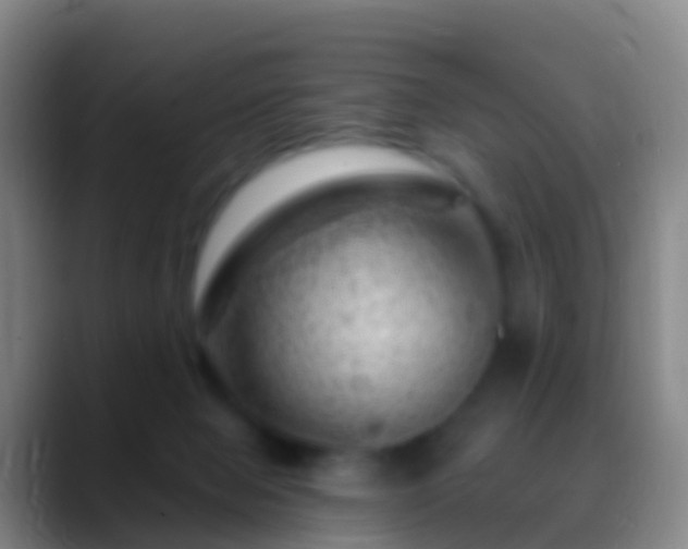 X0000088900077200706151855